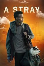 Watch A Stray 0123movies