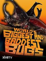 Watch World\'s Biggest and Baddest Bugs 0123movies