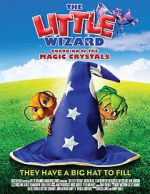 Watch The Little Wizard: Guardian of the Magic Crystals 0123movies