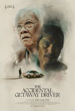 Watch The Accidental Getaway Driver 0123movies