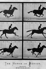 Watch Sallie Gardner at a Gallop 0123movies