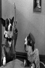 Watch The Two Barks Brothers 0123movies