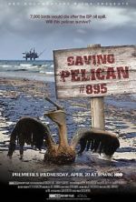 Watch Saving Pelican 895 (Short 2011) 0123movies
