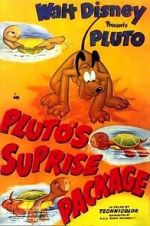 Watch Pluto\'s Surprise Package 0123movies