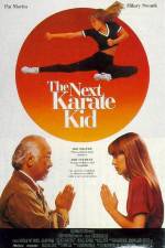Watch The Next Karate Kid 0123movies