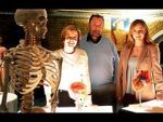 Watch Inside the Body of Henry VIII 0123movies