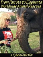 Watch From Parrots to Elephants: Worldwide Animal Rescues 0123movies