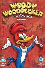 Watch Woody Woodpecker and His Friends 0123movies