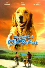 Watch The Trial of Old Drum 0123movies