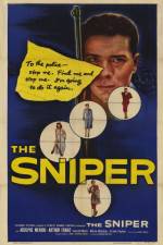 Watch The Sniper 0123movies