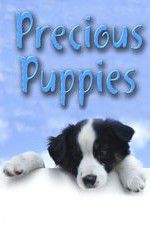 Watch Precious Puppies 0123movies