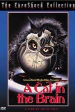 Watch Un gatto nel cervello 0123movies