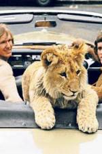 Watch The Lion Cub from Harrods 0123movies