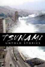 Watch Tsunami: Untold Stories 0123movies