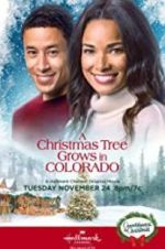 Watch A Christmas Tree Grows in Colorado 0123movies
