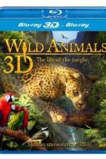 Watch Wild Animals - The Life of the Jungle 3D 0123movies