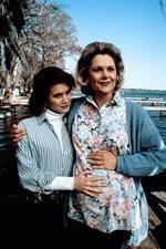 Watch Labor of Love The Arlette Schweitzer Story 0123movies