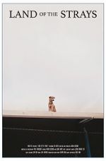 Watch Land of the Strays (Short 2018) 0123movies
