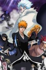 Watch Bleach: The Diamond Dust Rebellion 0123movies
