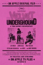 Watch The Velvet Underground 0123movies