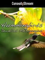 Watch Hummingbirds Jewelled Messengers 0123movies