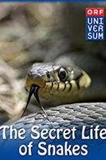 Watch The Secret Life of Snakes 0123movies