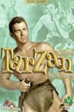 Watch Tarzan and the Trappers 0123movies