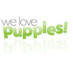 Watch We Love Puppies 0123movies
