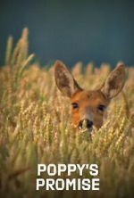 Watch Poppy\'s Promise: Secret Life in a Cornfield 0123movies