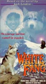 Watch Zanna Bianca 0123movies