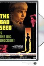 Watch The Bad Seed 0123movies