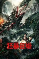 Watch Crazy Lizard 0123movies