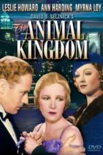 Watch The Animal Kingdom 0123movies