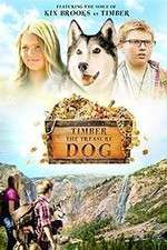 Watch Timber the Treasure Dog 0123movies