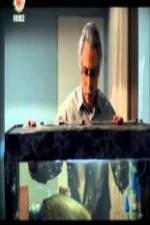 Watch The Disgraced 0123movies