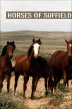 Watch Horses of Suffield 0123movies