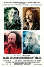 Watch David Crosby: Remember My Name 0123movies