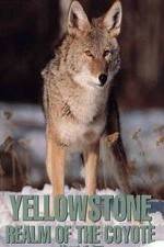 Watch Yellowstone: Realm of the Coyote 0123movies
