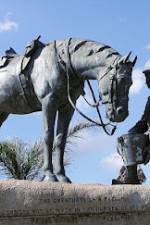 Watch War Horse: The Real Story 0123movies