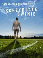 Watch Flying Pigs 0123movies