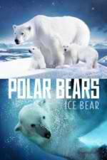 Watch Polar Bears Ice Bear 0123movies