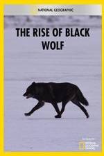 Watch The Rise of Black Wolf 0123movies