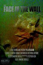Watch The Face in the Wall 0123movies