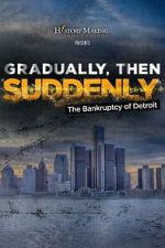 Watch Gradually, Then Suddenly: The Bankruptcy of Detroit 0123movies