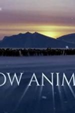 Watch Snow Animals 0123movies
