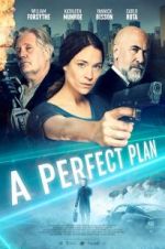 Watch A Perfect Plan 0123movies