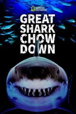 Watch Great Shark Chow Down 0123movies