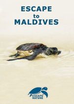 Watch Escape to Maldives 0123movies
