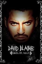 Watch David Blaine: Real or Magic 0123movies