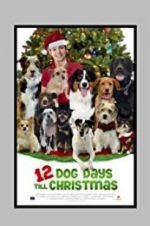 Watch 12 Dog Days Till Christmas 0123movies